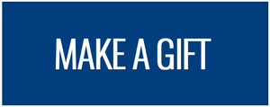 Make Gift button - blue 300x119
